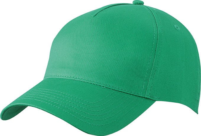 5 Panel Cap-Iers-groen