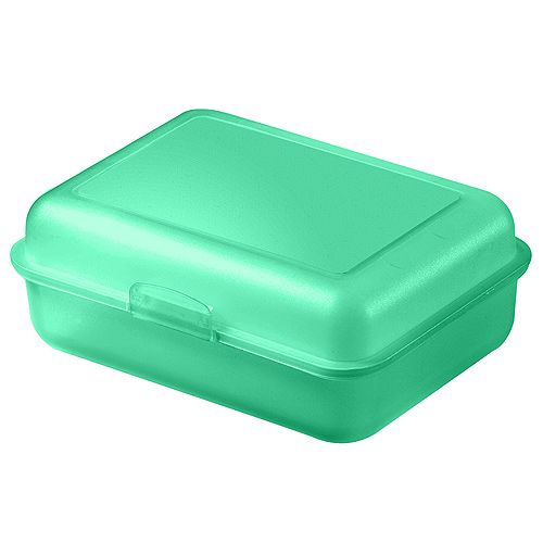 Broodtrommel Schoolbox (Fotoprint)-Fotoprint-Pastel Groen, #56d6a3