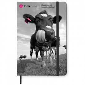 Arconot notitieboek - A5 - PU - 96 vellen - gelinieerd - elastieksluiting en leeslint