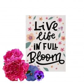 Groeipapier / zaadmat A4