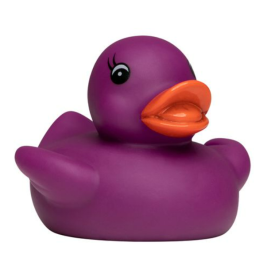 Squeaky Duck Color Changing