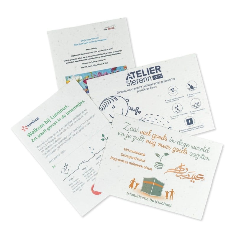 Groeipapier A5 - flyer - 200g/m2 - bloemenmix