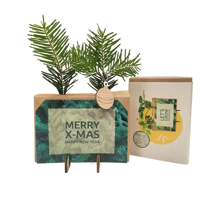 MINI kersttakjes brievenbus plant