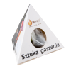 10 Loyd pyramidetheezakjes in pyramidedoos - diverse smaken