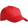 Promo cap - katoen - 6 panelen - zweetband - klittenbandsluiting