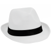 Braz hoed - polyester - met binnenband