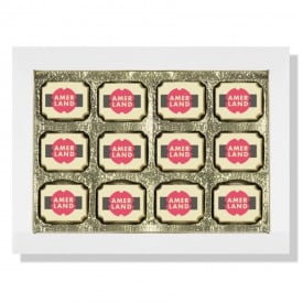 Logo chocolade bonbons - 12 stuks - wit, melk, puur met hazelnootpraline - in geschenkdoos