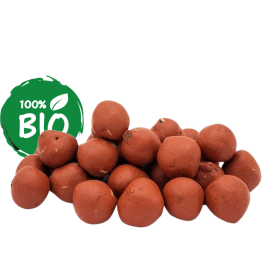 15 Kleurrijke Zaadbommetjes -doosje-Rood