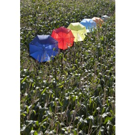 Golfparaplu - polyester - Ø 103 cm - automaat