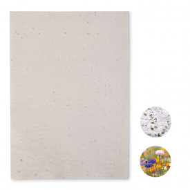 A4 zaadpapier wilde bloemen-Wit