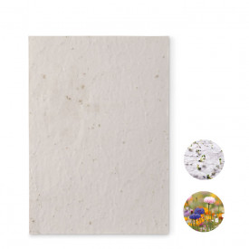 A5 zaadpapier wilde bloemen-Wit