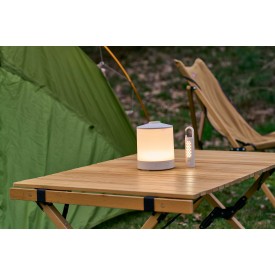 ABS multifunctionele lamp Araminta
