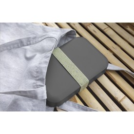 Amuse grote lunchbox - gerecycled PP - elastische band