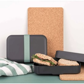 Amuse Zero Waste Lunchbox - gerecycled plastic