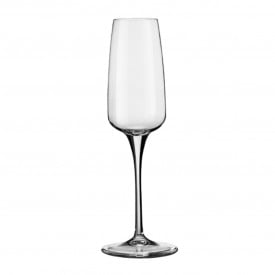 Aurm champagneglas 230ml