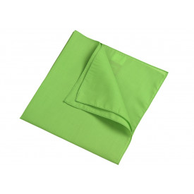 Bandana-Lime