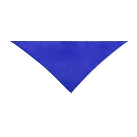 Bandana Wasat