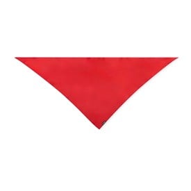 Bandana Wasat-Rood