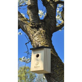 Birdhouse vogelhuisje - grenenhout - 22x14x12 cm - met ophangoog