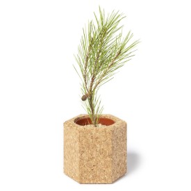 Bloempot Gulytel