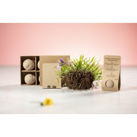 Mussox zaadbol - wilde bloemen - gerecycled kartonnen doosje - Made in Europe