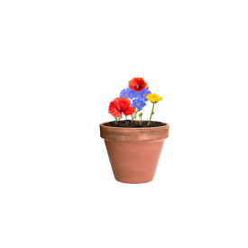 Mussox zaadbol - wilde bloemen - gerecycled kartonnen doosje - Made in Europe