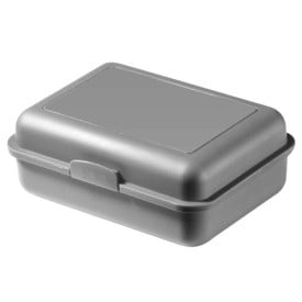 Schoolbox broodtrommel - kunststof - met kliksluiting - met fotoprint