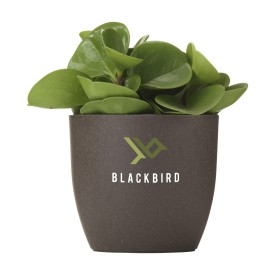 Coffee Flowerpot bloempot-Bruin