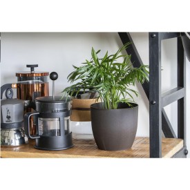 Coffee Flowerpot bloempot