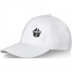 Davis 6 panel cap-Wit