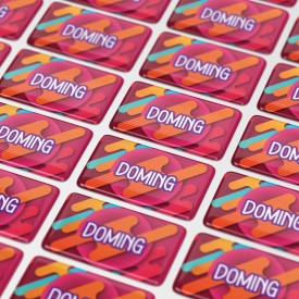 Doming sticker rechthoek - 40x20 mm