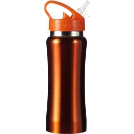 Drinkfles 600ml - RVS - fliptopdop met rietje