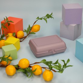 Switch lunchbox - bio plastic - dubbelkliksluiting - insteekscharnier