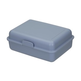 ECO schoolbox-Cornflower