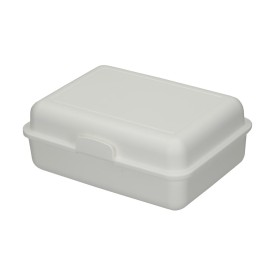 ECO schoolbox-Wit