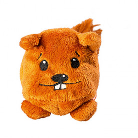 Eekhoorn