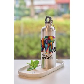 Emeric drinkfles 750ml - gerecycled RVS - PP dop - karabijnhaak