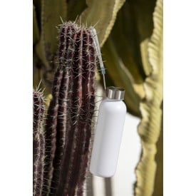 Fles Wistel