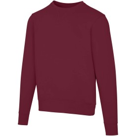 Fruit of the Loom sweater - unisex - katoen - 300 g/m2-Diep bordeauxrood