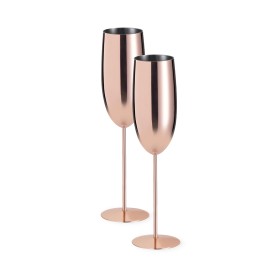 Gagx champagneglazen set - 270ml - RVS - geschenkverpakking