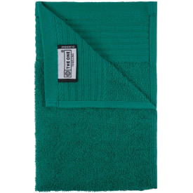 Gastendoek 30 x 50 cm-Emerald