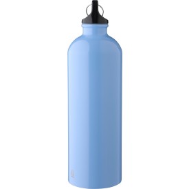Emeric drinkfles 750ml - gerecycled RVS - PP dop - karabijnhaak