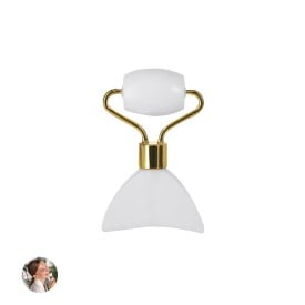 Gezichts Massager Herbiax
