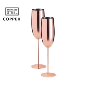 Gagx champagneglazen set - 270ml - RVS - geschenkverpakking