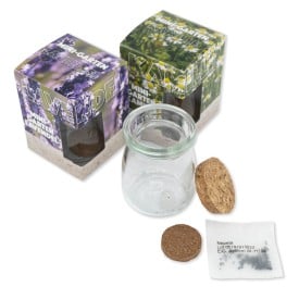 Glazen pot met zaadjes in doosje