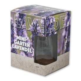 Glazen pot met zaadjes in doosje-N.v.t.