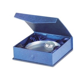 Glazen trofee met wereldbol