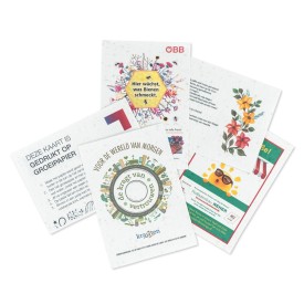 Groeipapier A6 - flyer - 200g/m2 - bloemenmix