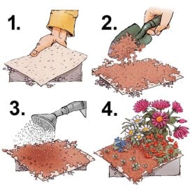 Groeipapier A5 - flyer - 200g/m2 - bloemenmix