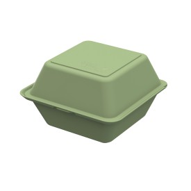 Hamburgerbox 'To-Go'-Gregarious green